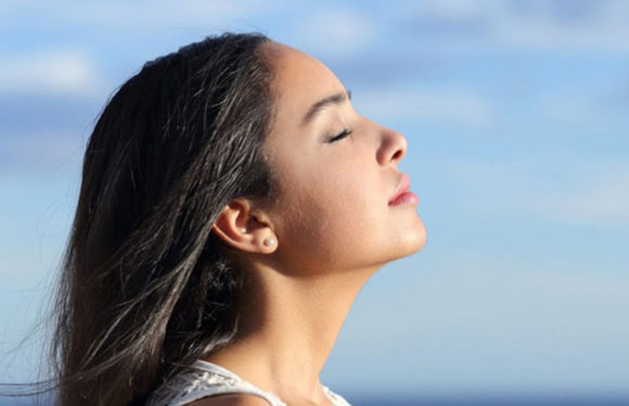 Mindfulness: What’s The Big Deal? Mindfulness: What’s The Big Deal?